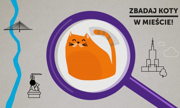 Zbadaj koty w mieście – program Uniwersyteckiego Centrum Wolontariatu
