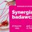 Synergia badawcza: wydziałowe seminarium integracyjne